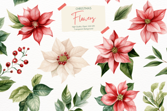 Christmas Flower Clipart: Elevate Your Illustrations